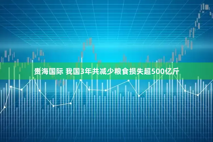 贵海国际 我国3年共减少粮食损失超500亿斤