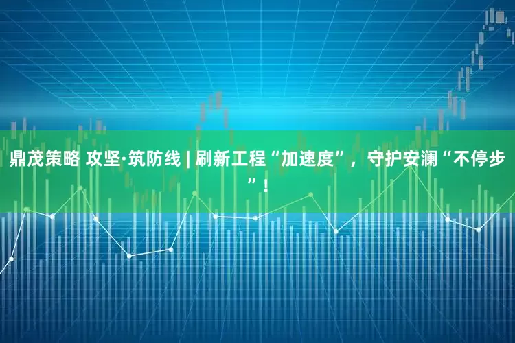 鼎茂策略 攻坚·筑防线 | 刷新工程“加速度”，守护安澜“不停步”！