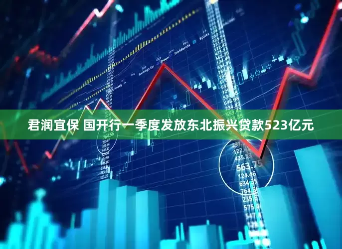 君润宜保 国开行一季度发放东北振兴贷款523亿元