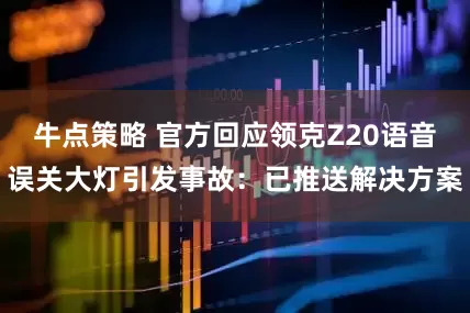 牛点策略 官方回应领克Z20语音误关大灯引发事故：已推送解决方案